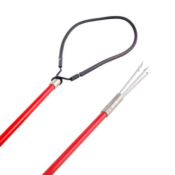 Pole Spear - Two Piece Paralyzer Tip For Beginners